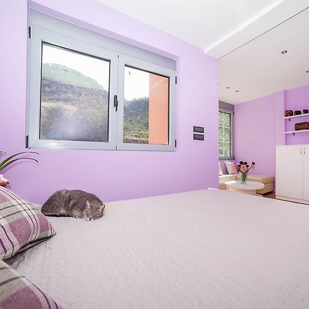 Apartments Princess View Sveti Stefan Zewnętrze zdjęcie